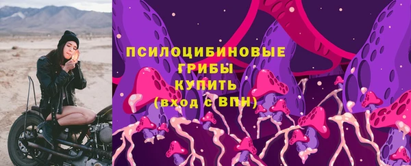 сатива Абдулино